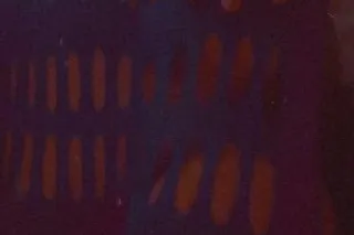 ✨ splash in my waterpark and stay in it baby 💋🥰 - Image 7